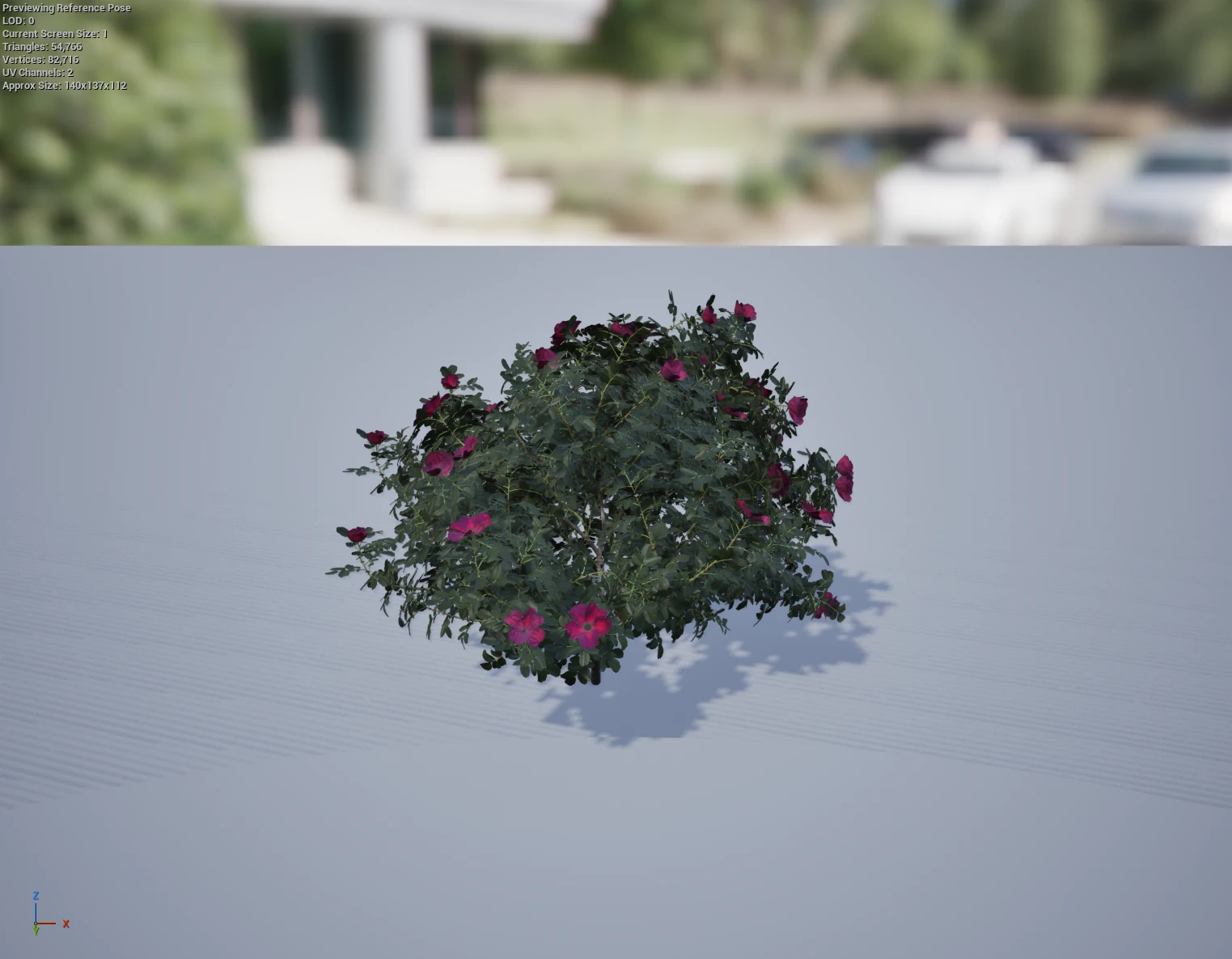 Complete procedural bush rose asset