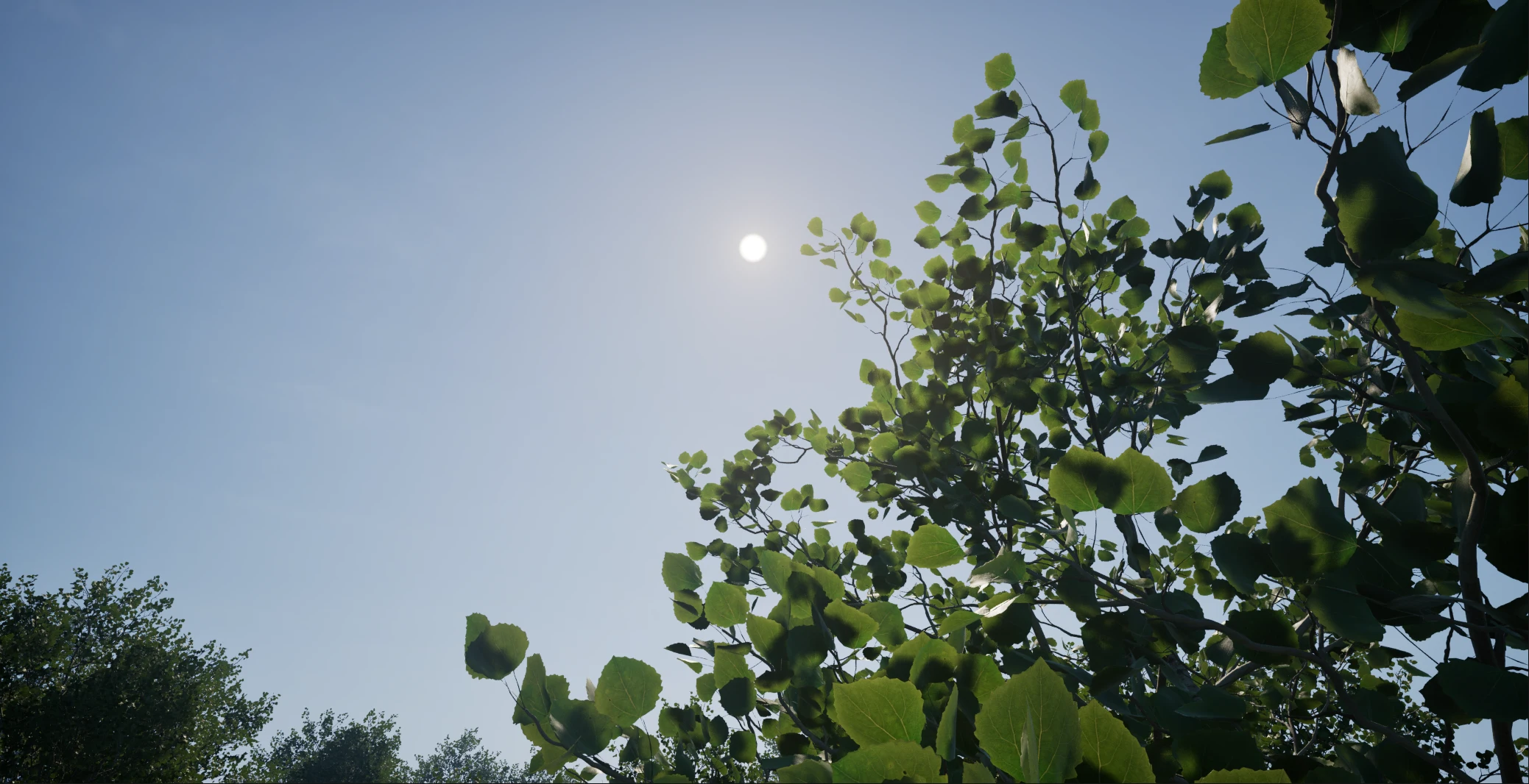 Leaves shown in the default lit rendering view